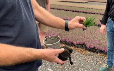 Use of sensors and measurement technology in horticulture