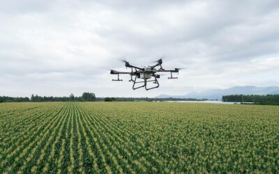 Drone, sensor and satellite data for optimal cultivation