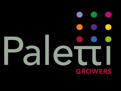 Project partner Paletti
