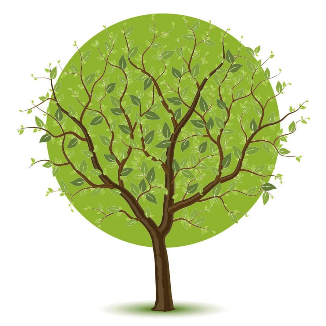 Tree Talking Innovation project Digital Talking Tree - Yookr